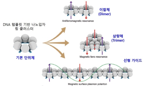 DNA 템플릿 기반 나노입자 링 클러스터 복합체