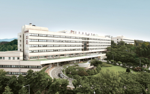  View of Korea University Anam Hospital