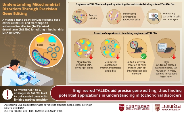 Korea University Study Explores a Novel and Precise Mitochondria... 대표 이미지