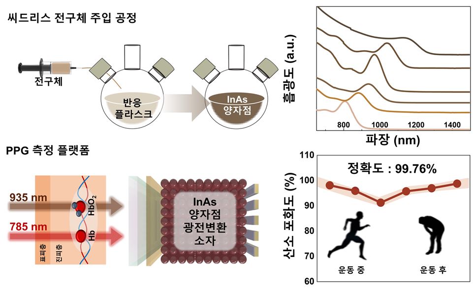 씨드리스 전구체 주입 공정으로 합성한 InAs 양자점 기반 산소포화도 측정 플랫폼 모식도
