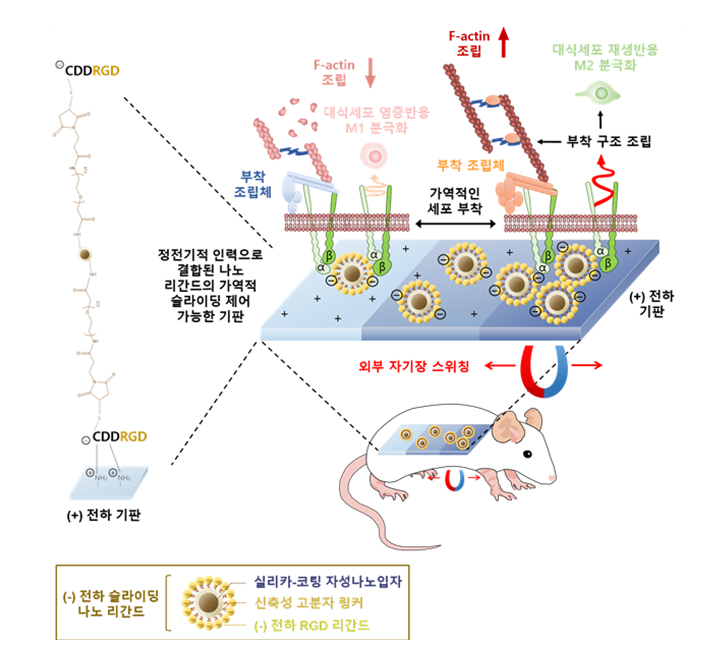 그림설명