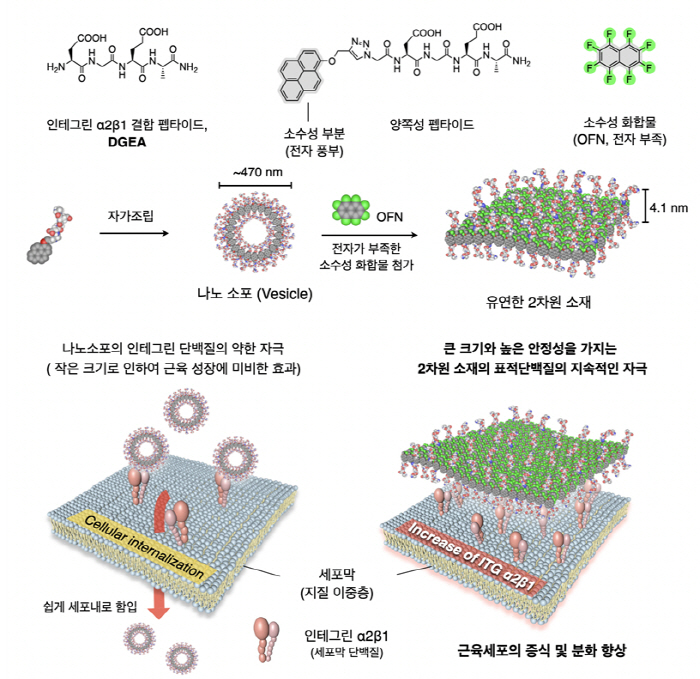 그림설명