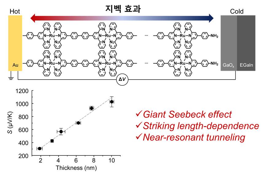 전기화학적 합성법을 이용해 전극 위에서 합성한 루테늄(Ru)기반 유기금속분자사슬의 구조. 유사공진 터널링(near-resonant tunneling) 메커니즘으로 인해 획기적으로 높은 지벡 효과(Giant Seebeck effect)를 관측할 수 있었으며 상당한 분자길이 의존성(striking length-dependence)을 확인했다.