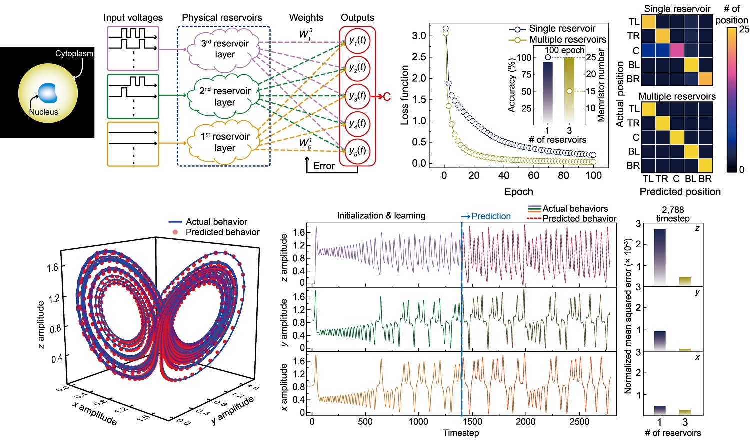 그림 2. (위 그림) 세포 위치 분류 및 예측 결과. 기존 2D & 단일 레저버층을 활용한 레저버 컴퓨팅에 비해 3차원 적층된 물리시스템 기반 와이드 레저버 컴퓨팅이 높은 정확도와 속도 및 적은 에너지를 소모하며 세포 위치를 예측함을 보임. (아래 그림) 예측하기 어려운 로렌츠 끌개 방정식을 기존 단일 레저버 컴퓨팅에 비해 3차원 다층 와이드 레저버 컴퓨팅 방법이 보다 적은 오차율로 예측할 수 있음을 확인함.