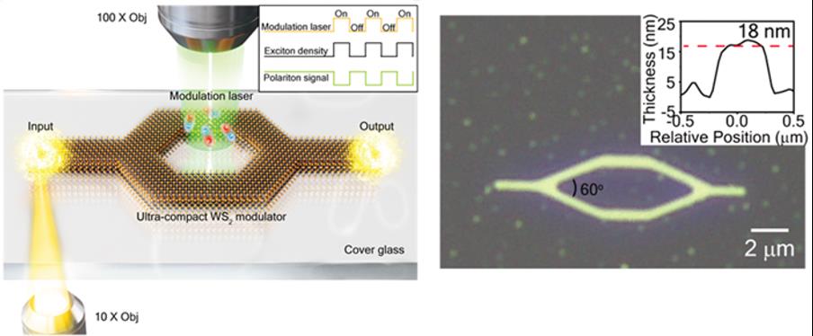 [Fig. 설명] 2차원 반도체를 기반으로 하는 초소형 광모듈레이터 개발